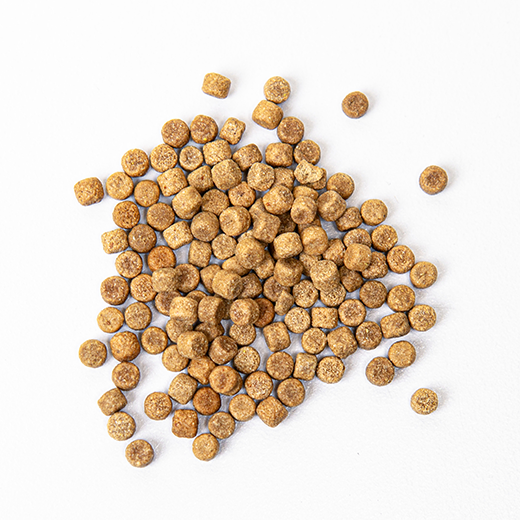 제품 썸네일 이미지